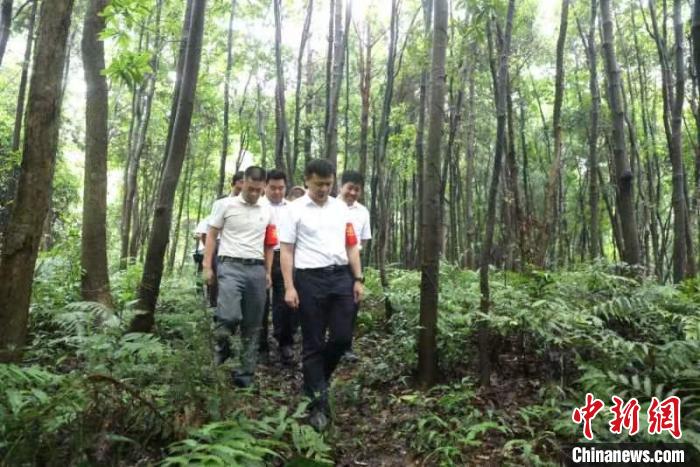 （人民幸福生活）湖南东安“绿色经济”释放生态红利 新农人返乡