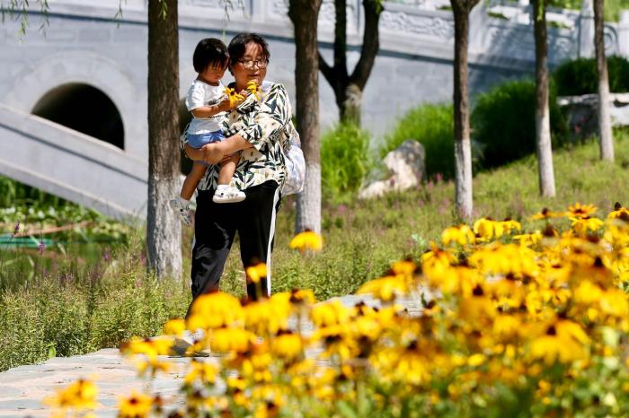 运河畔建起“城市绿肺” 打造北京城市副中心生态地标
